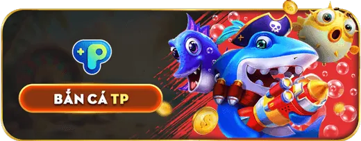 Tổng quan về các điều khoản và quy định của tải 8k8k